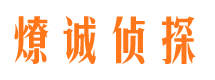 田家庵婚外情调查取证